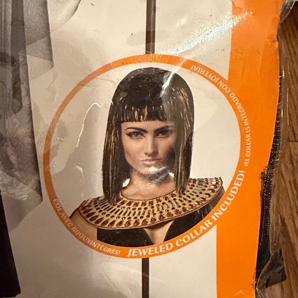 California Costumes Cleopatra Women's Costume Size Large - Picture 5 of 6